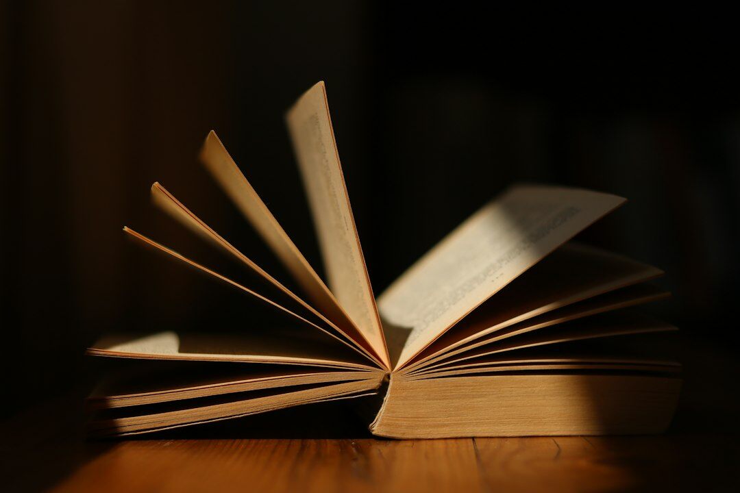 mystery book twist